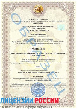 Образец разрешение Сковородино Сертификат ISO 50001